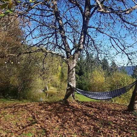 Prázdninový dům Ferme De Chenezeau - 15 Personnes , 7 *