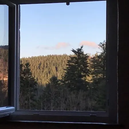 Ferme De Chenezeau - 15 Personnes , 7 Casa de Férias Gérardmer