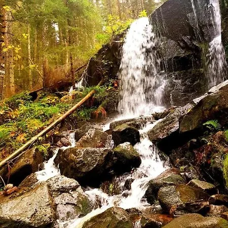 Ferme De Chenezeau - 15 Personnes , 7 Gérardmer