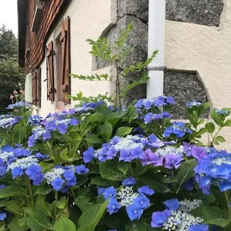 Ferme De Chenezeau - 15 Personnes , 7 Prázdninový dům Gérardmer