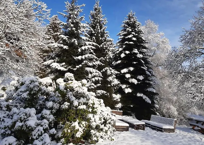 펜션 Ferme De Chenezeau - 15 Personnes , 7