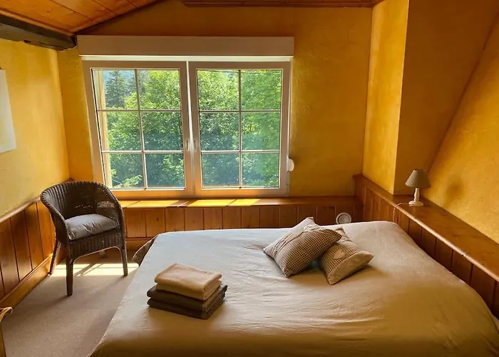 Ferme De Chenezeau - 15 Personnes , 7