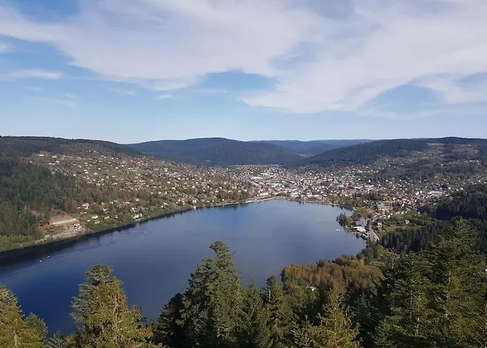 Ferme De Chenezeau - 15 Personnes , 7 펜션 *