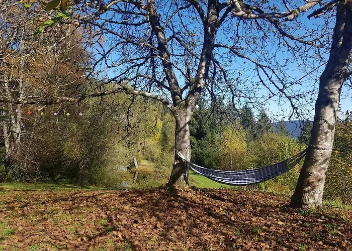 펜션 Ferme De Chenezeau - 15 Personnes , 7 *