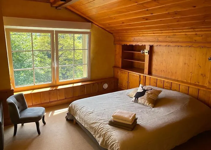 Ferme De Chenezeau - 15 Personnes , 7 펜션 *