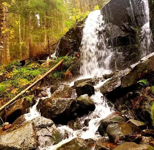 Ferme De Chenezeau - 15 Personnes , 7 제라르메르