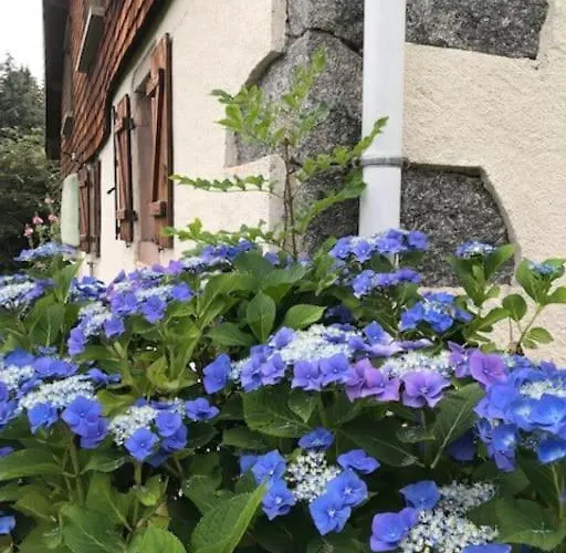 Ferme De Chenezeau - 15 Personnes , 7 펜션 제라르메르